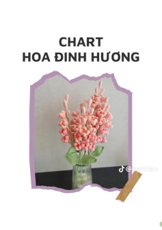 chart hoa đinh hương