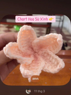 Chart Hoa Sứ Xinh