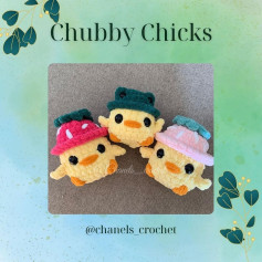 chubby chicks