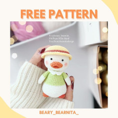 free pattern summer duck wear a hat