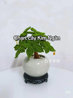 cây phát tài, Chart cây Kim Ngân đơn giản