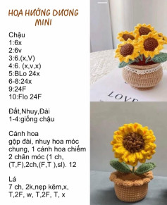 hoa hướng dương mini