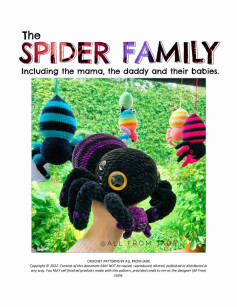 the spider family