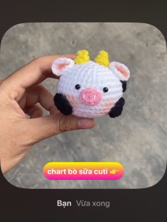 chart bò sữa cuti