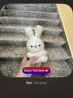 chart thỏ xinh