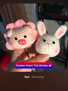 combo Chart Thỏ Và Heo