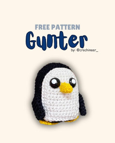 free pattern gunter