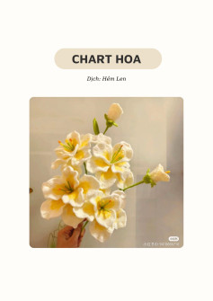 hoa Chuẩn bị 8/3 mấy bà ơi