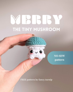 🩵 Merry the Tiny Mushroom - FREE pattern 🩵