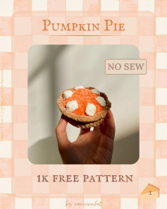 ✨ Pumpkin Pie pattern release ✨