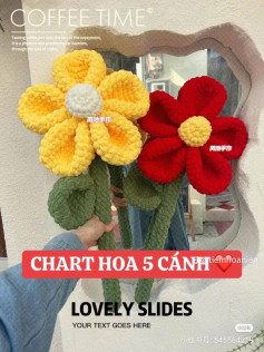 chart hoa 5 cánh