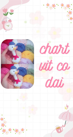 chart vịt cổ dài