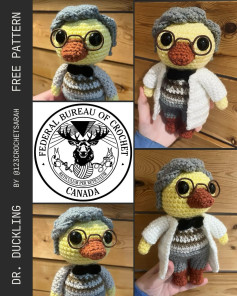 FREE PATTERN - DR. DUCKLING