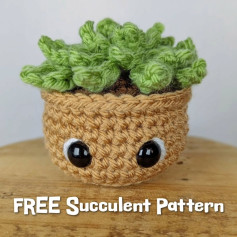 🌱FREE Succulent Pattern