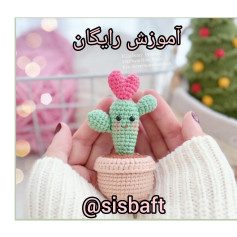آموزش بافت کاکتوس کوچک