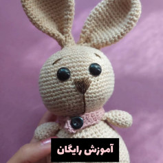 آموزش بافت خرگوش