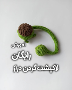 آموزش رایگان لاکپشت گردن دراز🐢