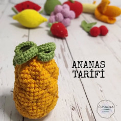 ANANAS ÖRNEĞİ: ŞEMASI VE TALİMATLARI