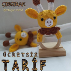 ÇINGIRAK HAREKETLİ ZEBRA BEBEK ÖRNEĞİ