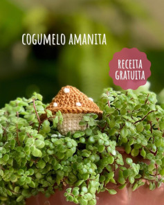 Cogumelo Amanita: Grátis Padrão de Crochê