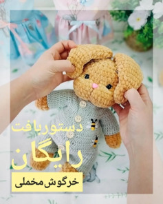 دستور بافت خرگوش