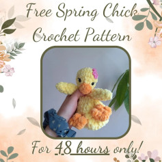 Free Crochet Pattern: Adorable Spring Chick