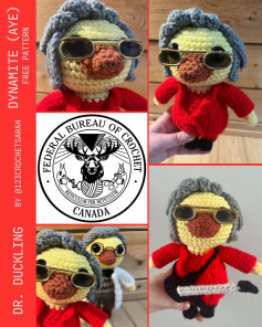Free Crochet Pattern: Dr. Duckling Dynamite