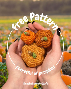 Free Crochet Pattern: Pocketful of Pumpkins