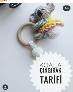 KOALA ÇINGIRAK ÖRNEĞİ