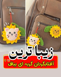 طرح گربه آفتابگردان