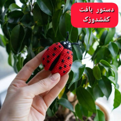 طرح قلاب بافی کفشدوزک