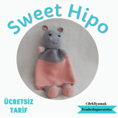 Ücretsiz Sevimli Hipo Bebek Battaniyesi Örgü Şeması