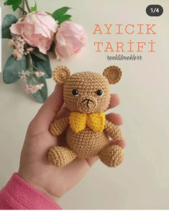 AYICIĞIN ÖRME ŞEMASI