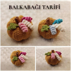 BALKABAGI ÖRGÜ ŞEMASI