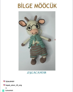 Bilge Moooçuklu Amigurumi Şeması