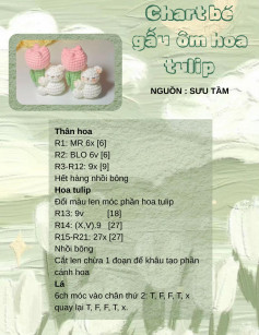 Chart bé gấu ôm cây hoa tulip