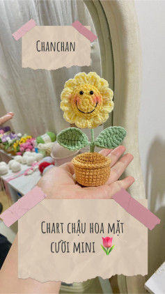 CHART HOA MẶT CƯỜI MINI XINH XẮN