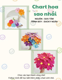 Chart hoa sao nhái