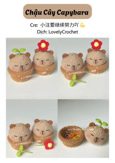 chart móc chậu cây capybara