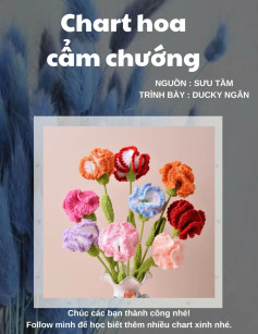 Chart móc hoa cẩm chướng nhiều màu sắc