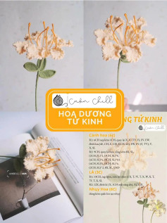 chart móc hoa dương tử kinh