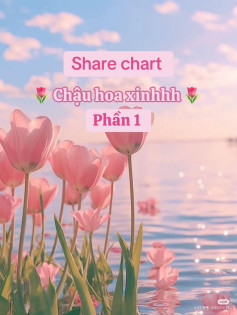 chậu hoa tulip, chậu hoa hướng dương, chậu lan sao hỏa