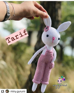Örgü Tavşan Şeması