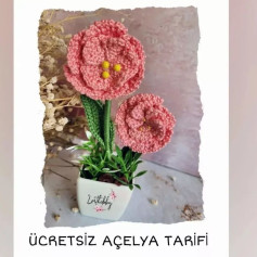 ÜCRETSİZ AÇELYALARIN Tığ İŞİ ŞEMASI