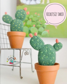 Ücretsiz Kaktüs Amigurumi Yapımı
