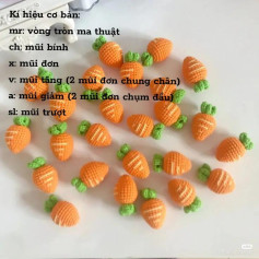 chart củ cà rốt