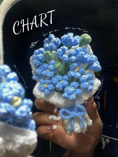 chart hoa baby