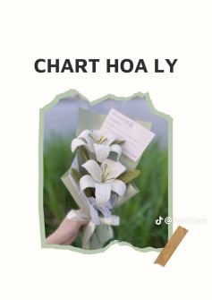 chart hoa ly