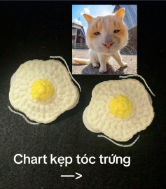 chart kẹp tóc trứng
