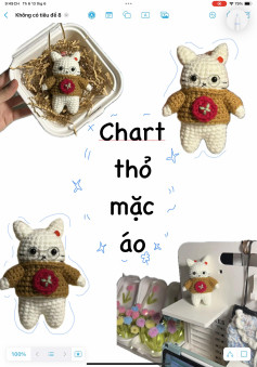Chart mèo mặc áo